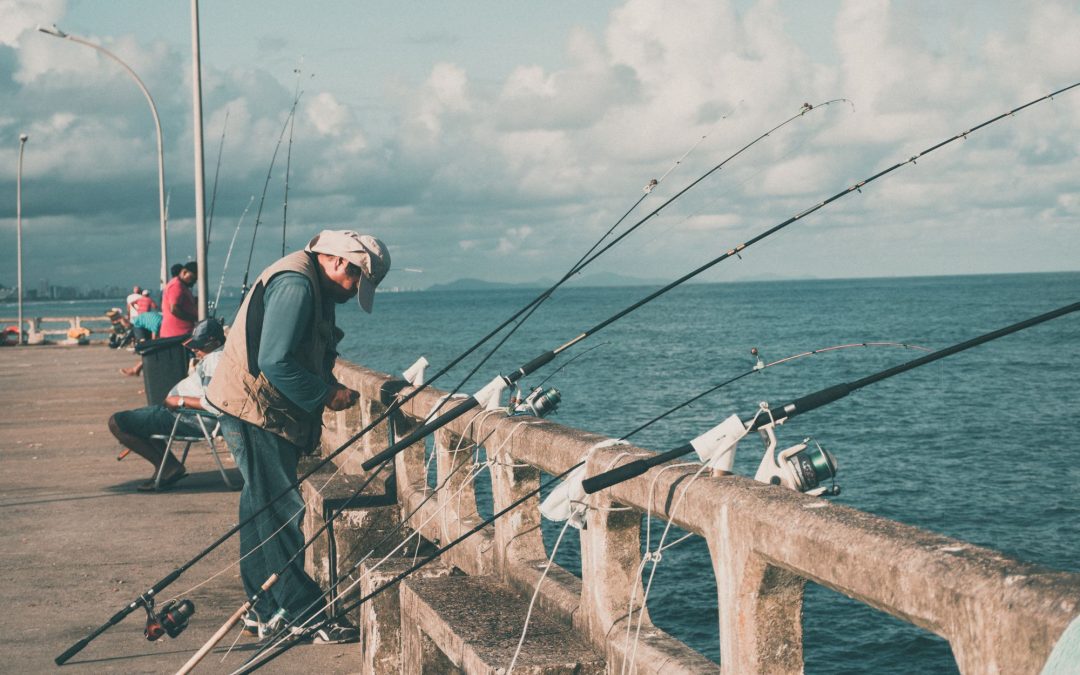 Casting into the Competitive Arena: The Rise of Fishing Tournaments